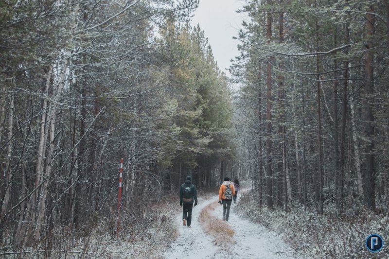 Подростки разрабатывают новый зимний маршрут в заповеднике "Пасвик"