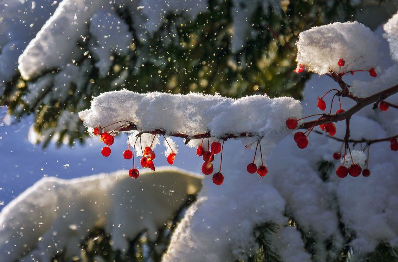 169% месячной нормы снега выпало в Мурманске
