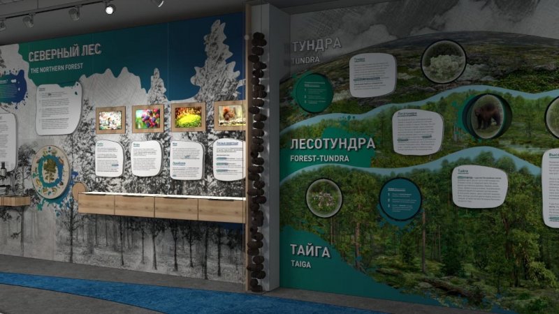 Потрогать лес смогут гости выставки в заповеднике «Пасвик»