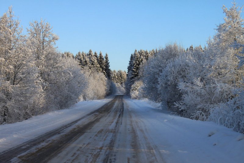 168 единиц техники чистят дороги от снега в Мурманской области