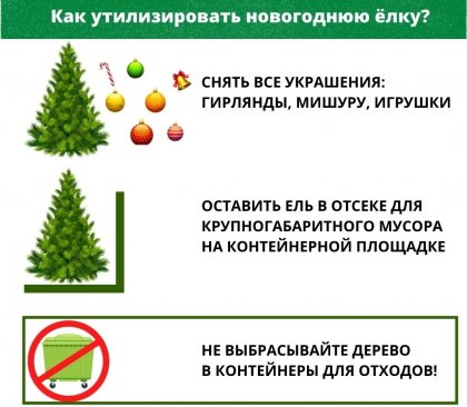 Нельзя выбрасывать новогодние ели в мусорные баки в Мурманской области