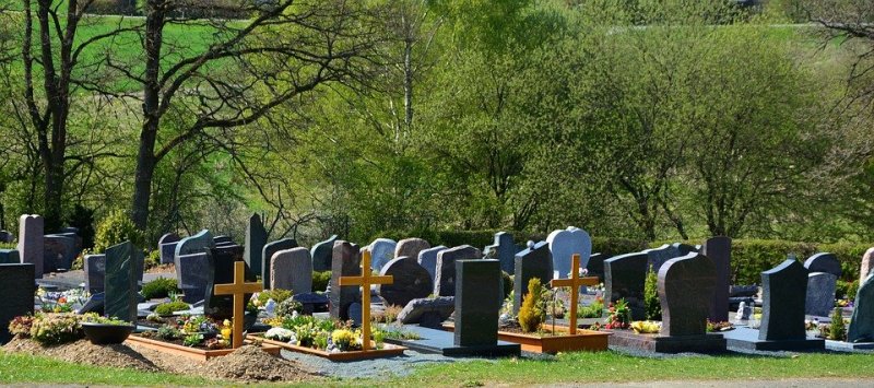 Прокуратура организовала проверку нехватки мест на кладбище Мурманска