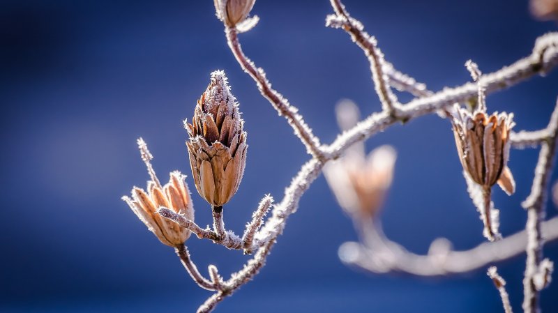 Сильное похолодание ожидается в Мурманской области