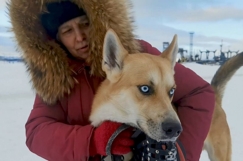 Потерявших собаку и застрявших на авто в снегу спасли полицейские в Североморске