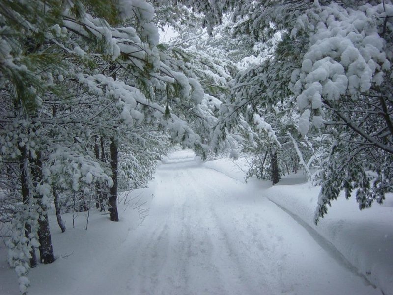 Самый сильный снегопад сегодня — в Никеле и Мурманске