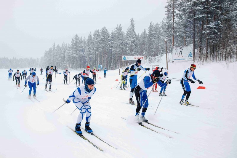 При поддержке Профсоюзного комитета Кольской АЭС и марафонской команды «Русская Зима» состоится лыжный марафон Кандалакша-Полярные Зори