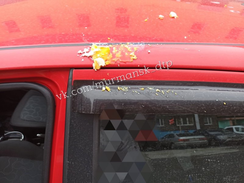 «Яйцемёты» атаковали легковушку в Мурманске