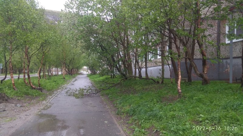 В Кировске штормовой ветер вырвал двери и деревья