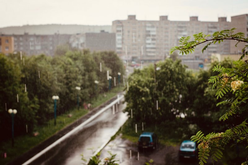 Гроза и сильный дождь ожидаются в Мурманске