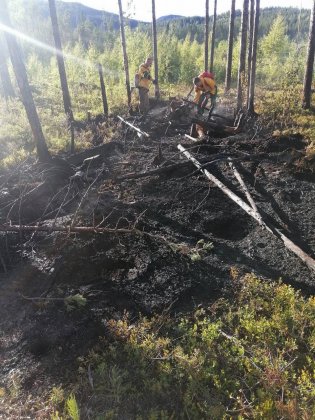 Огонь повредил 170 га леса в Мурманской области
