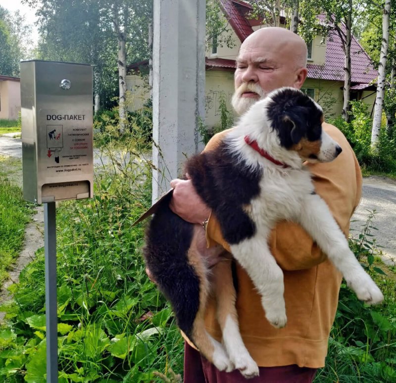 Дог-боксы впервые появились в Апатитах