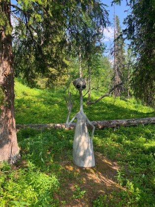 «Свет за краем света»: фильм о «Таинственном лесе» снимут в Кировске