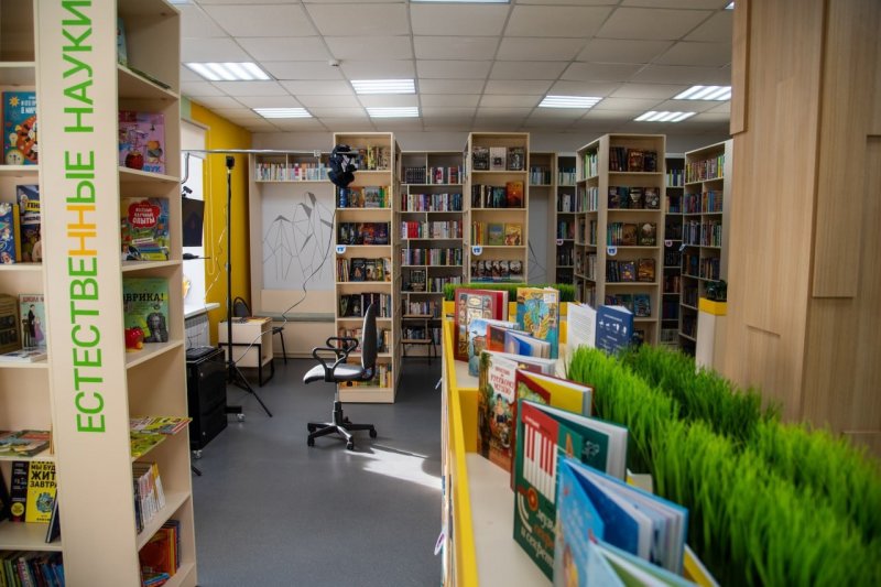 «Живая библиотека» для детей открылась на Скальной в Мурманске