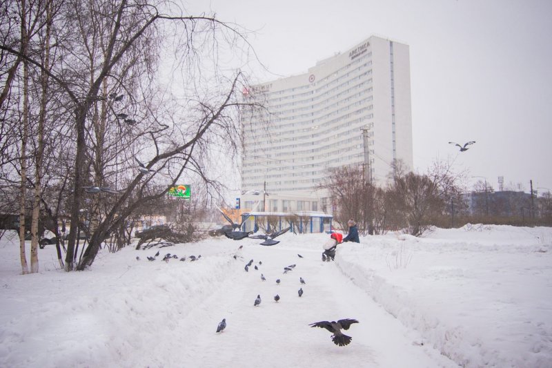 Резко до -8° похолодает в Мурманской области