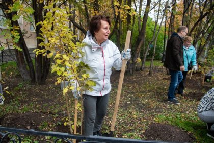 В Мурманске поставили «Зеленый рекорд» В Мурманске поставили «Зеленый рекорд»