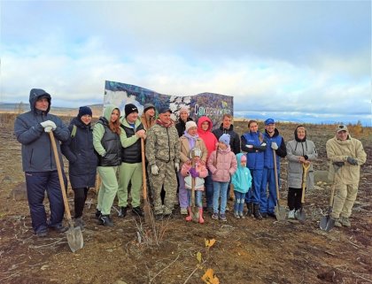 "Сохраним лес": акция завершилась в Мурманской области