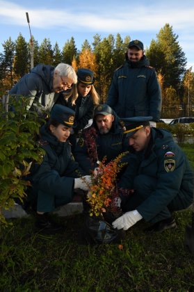 Работники Кольской АЭС высадили деревья в память о героях Великой Отечественной войны