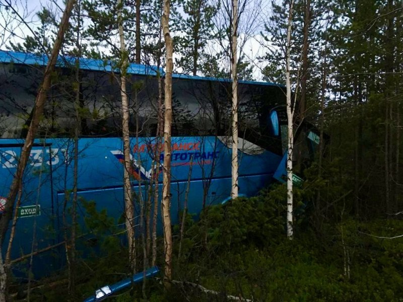 Рейсовый автобус с пассажирами съехал в кювет по пути в Мурманск