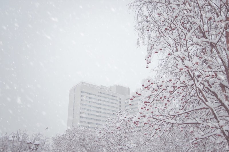 Снег и -2° прогнозируют синоптики в Мурманске