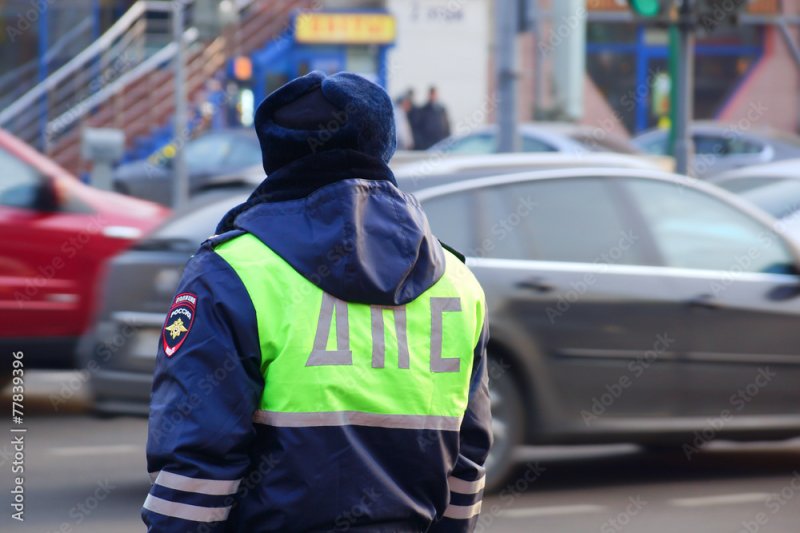 Хотел дать взятку сотрудникам ГИБДД: суд вынес приговор водителю в Мурманске