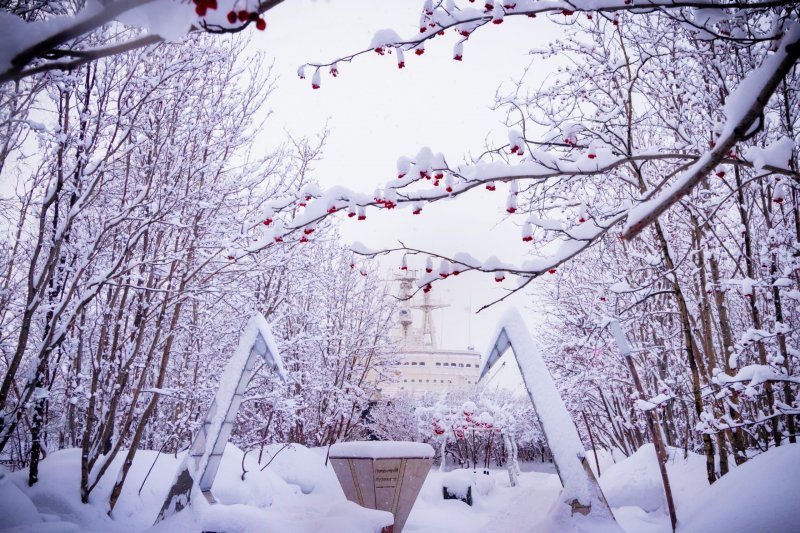 Морозными будут выходные в Мурманской области