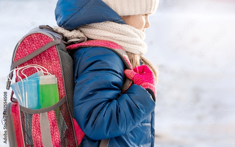 Минобрнауки: идти ли в мороз в школу ребенку — решать родителям в Заполярье