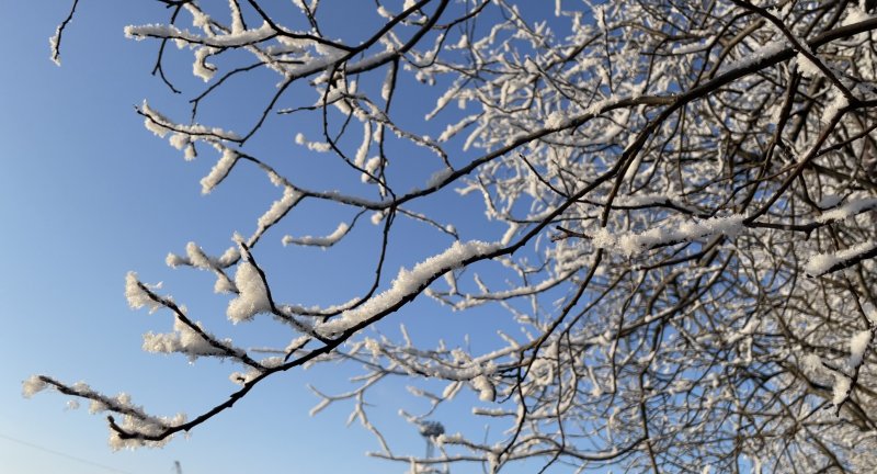 Крепкие морозы сохранятся в Мурманской области