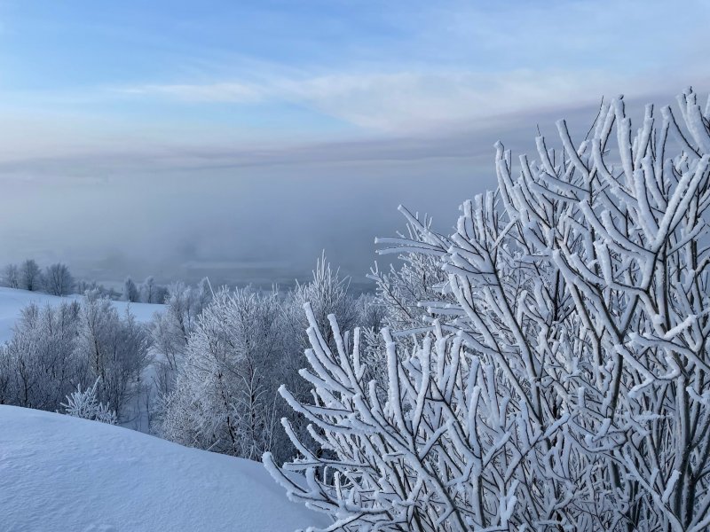 До -24° похолодает в Мурманской области