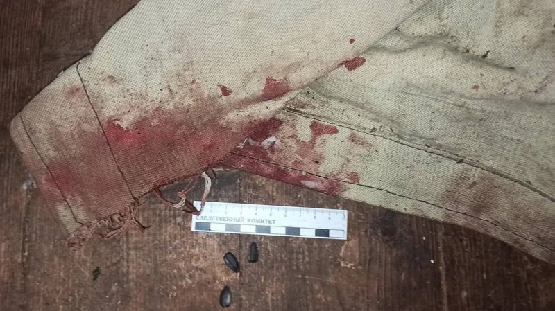 Забил до смерти приятеля на алкопосиделке: суд рассмотрит уголовное дело в Кандалакше
