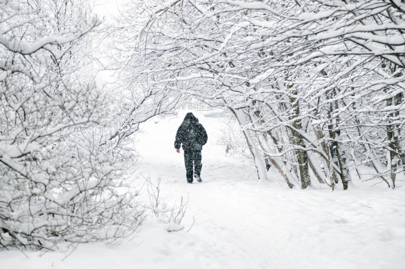 Сильный снегопад идет из Финляндии в Мурманскую область
