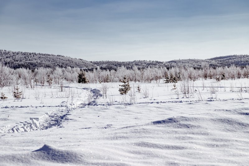185% месячной нормы снега выпало в Мурманске