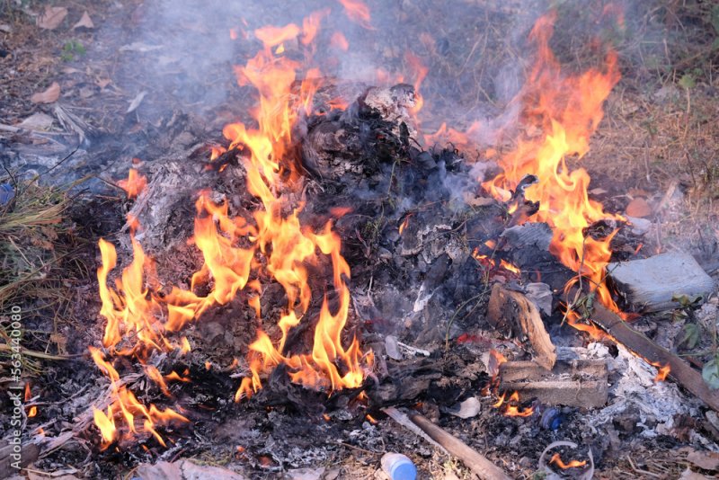 Мусорная свалка горит четвертый день в Оленегорске