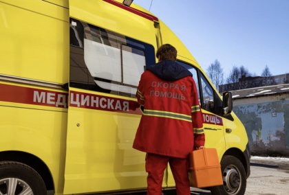 Перебегавшую на красный девушку сбил микроавтобус на Кольском проспекте Перебегавшую на красный девушку сбил микроавтобус на Кольском проспекте