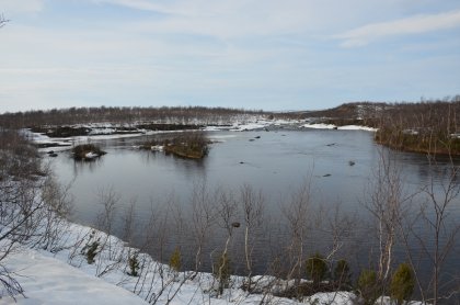 Бабочки и снег по колено: мурманчане выезжают на пикники в лес
