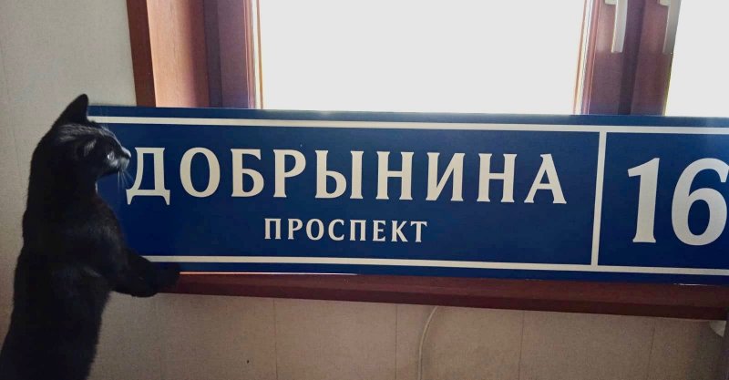 Териберку переименуют в Добрынинск
