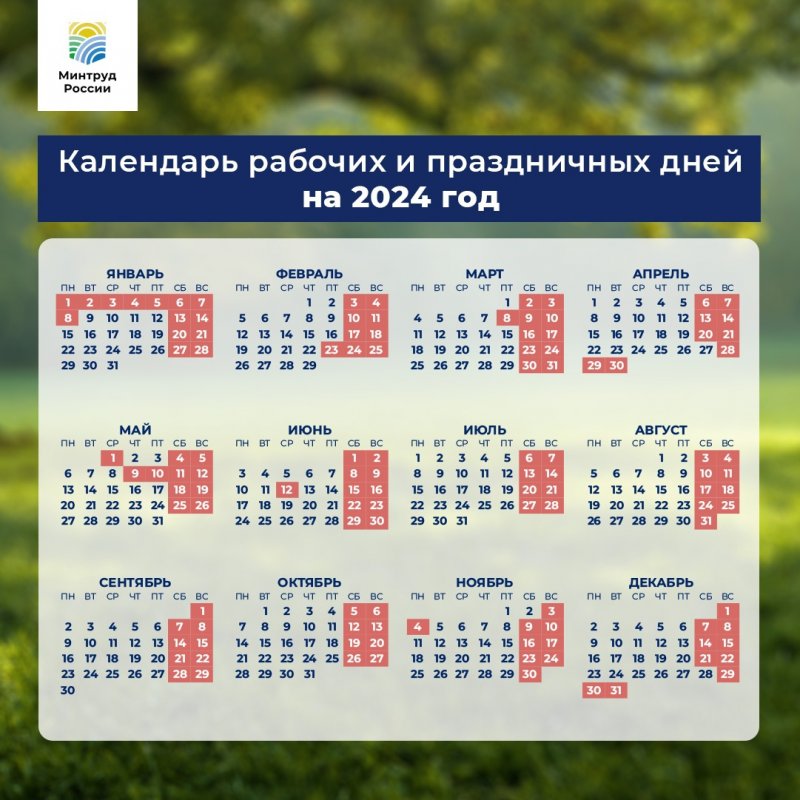 Первая рабочая неделя 2024 года начнется со вторника в России