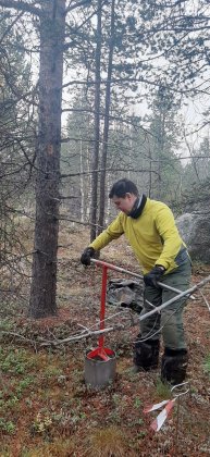 Оборудование для измерения потоков углекислого газа из почв установили в Лапландском заповеднике