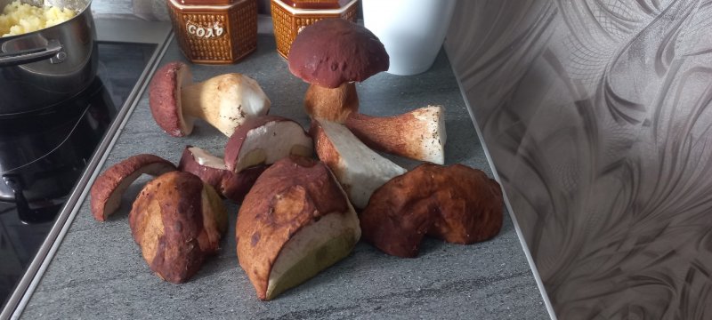 Начали собирать грибы в Мурманской области