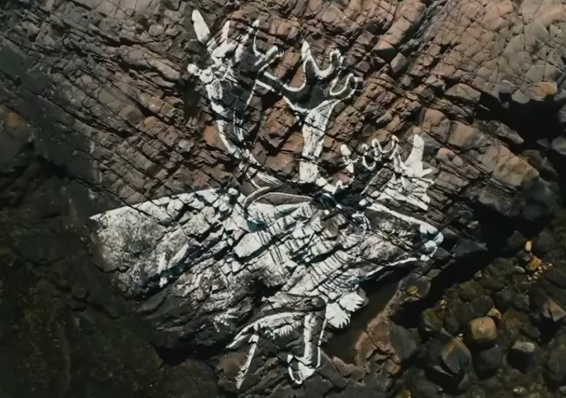 Гигантское изображение оленя украсило скалу в Териберке