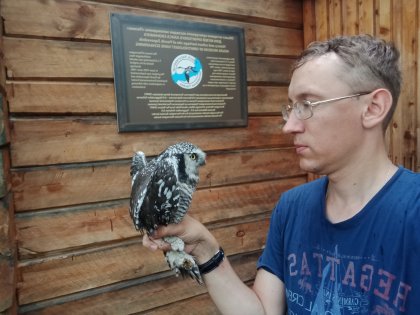 Пернатый призрак северной тайги встретился орнитологу на острове Варлама