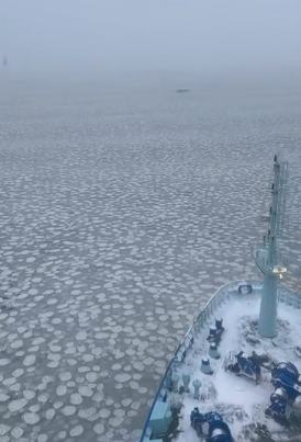 Необычный круглый лед экипаж ледокола «Урал» заметил в Карском море