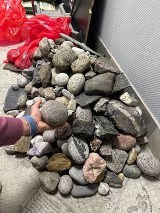 Туристы продолжают незаконно вывозить камни из Териберки