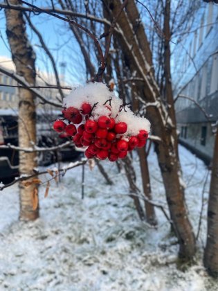 До -7° похолодает в Мурманской области До -7° похолодает в Мурманской области