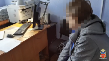 Пенсионерку-вандала отправят к психиатру принудительно в Мурманске