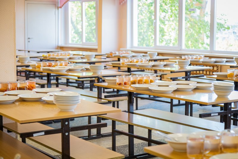 Грубые нарушения нашли в «Центре школьного питания» в Мончегорске