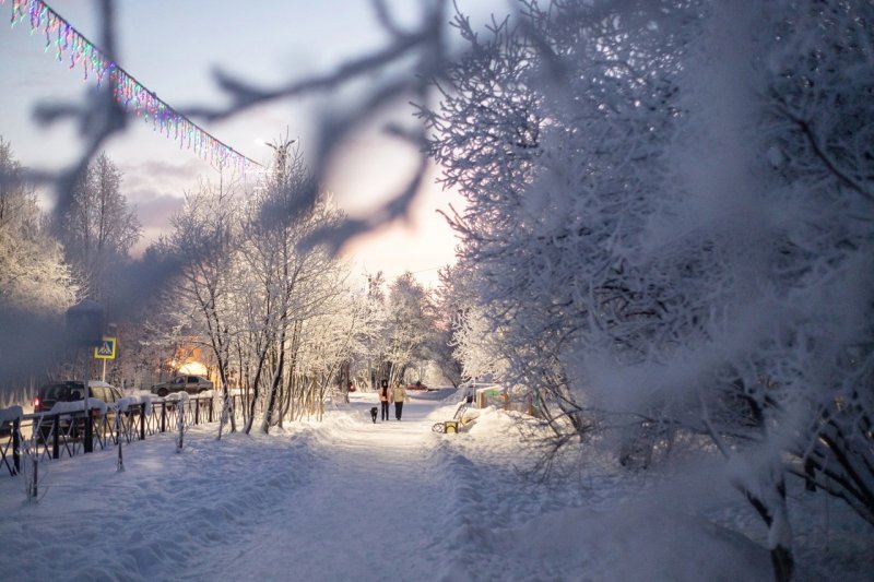 Резко похолодает до -28° в начале недели в Мурманской области