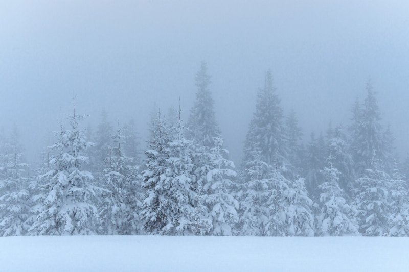 Росгидромет: снег, метель, ветер до 24 м/с в Мурманской области