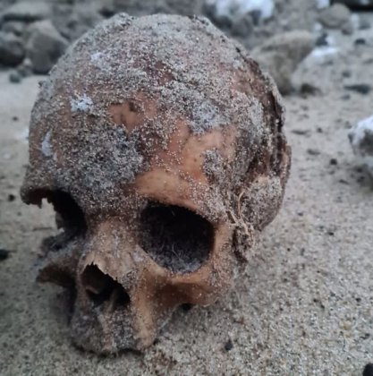 И снова череп: человеческие останки опять нашли в Териберке