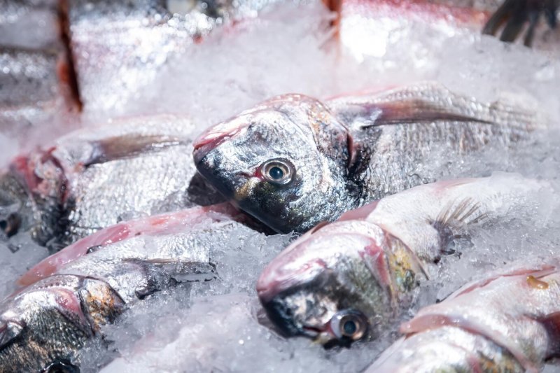 Пресечен оборот более 20 тонн рыбной продукции неизвестного происхождения в Мурманске