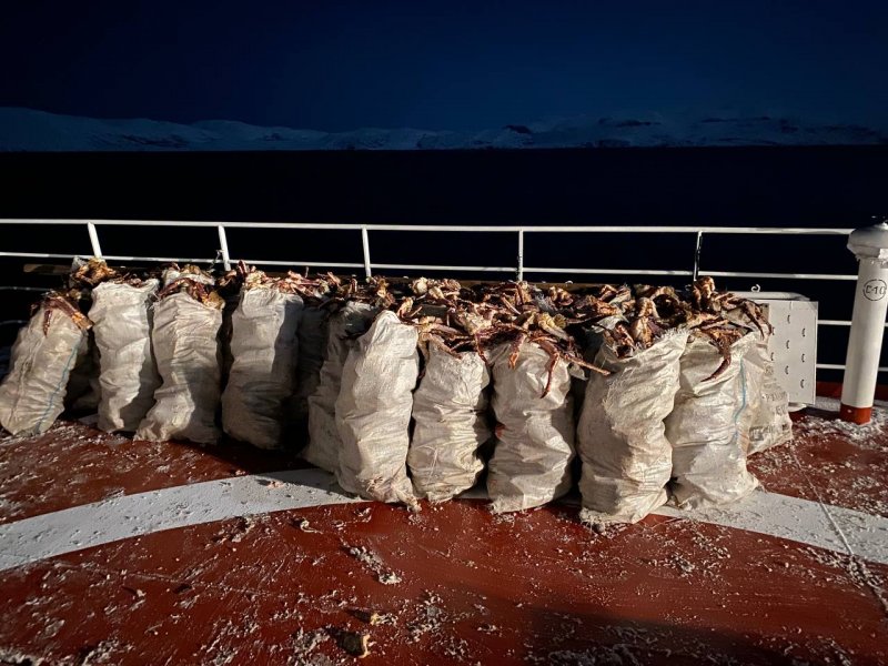 Полторы тонны краба наловили браконьеры на траулере в Баренцевом море